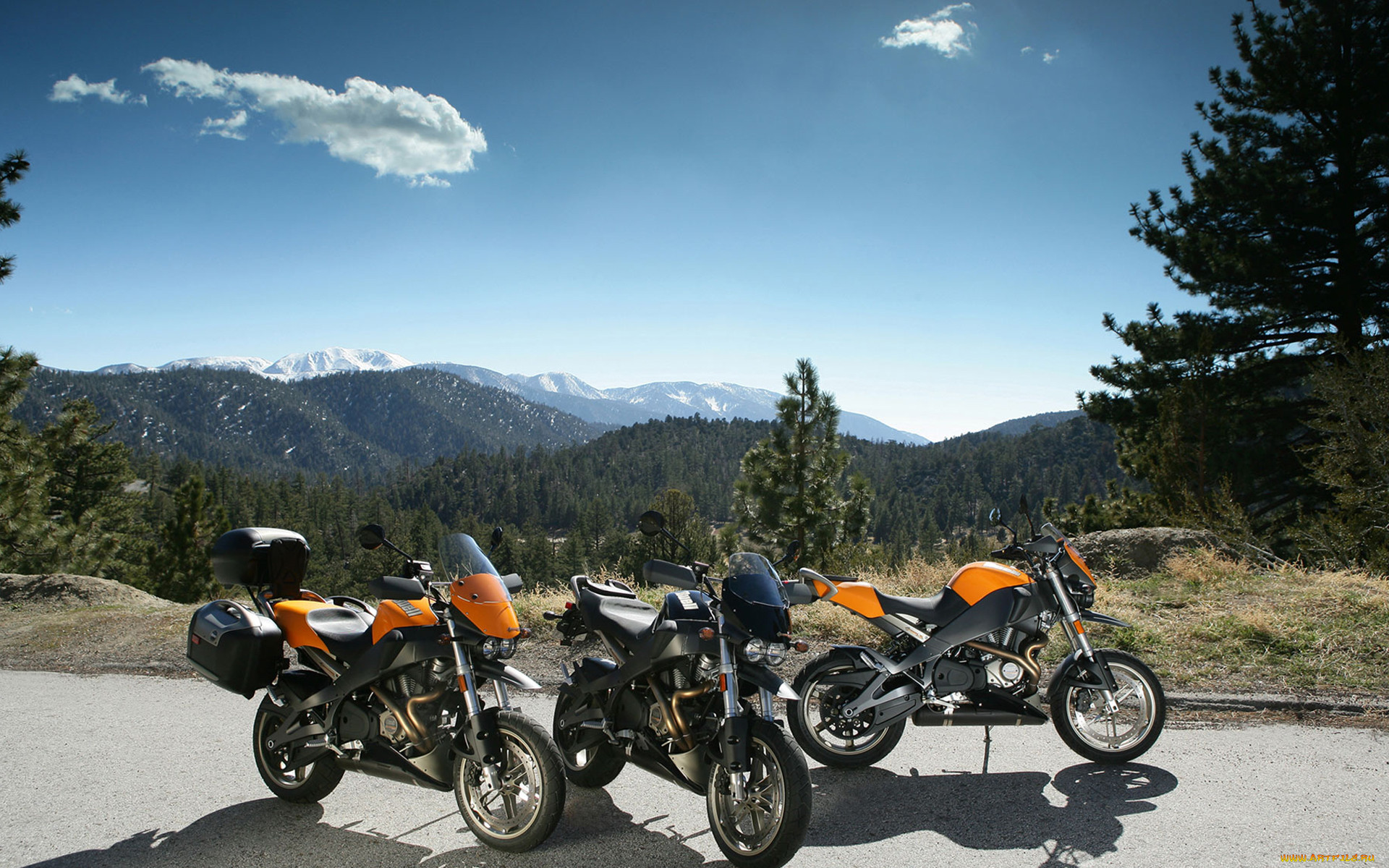 , buell